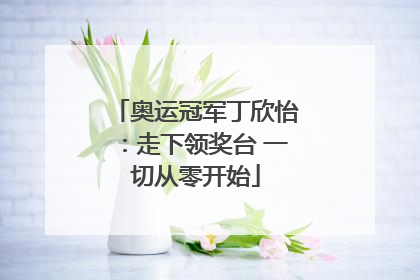 奥运冠军丁欣怡：走下领奖台 一切从零开始