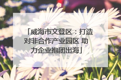 威海市文登区：打造对非合作产业园区 助力企业抱团出海