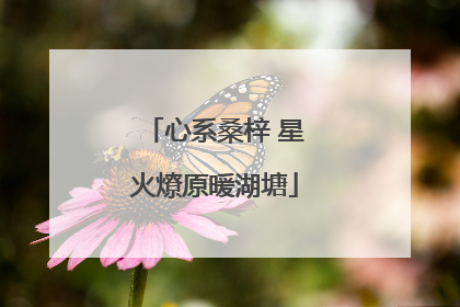 心系桑梓 星火燎原暖湖塘