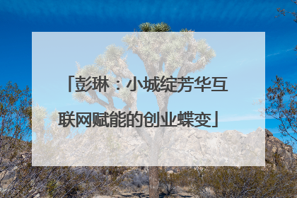 彭琳：小城绽芳华互联网赋能的创业蝶变