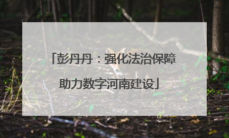 彭丹丹：强化法治保障 助力数字河南建设