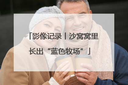 影像记录丨沙窝窝里长出“蓝色牧场”