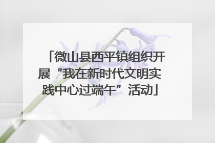 微山县西平镇组织开展“我在新时代文明实践中心过端午”活动