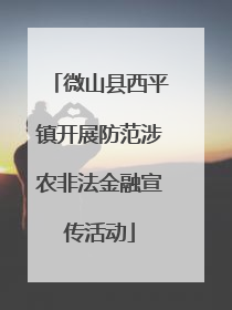微山县西平镇开展防范涉农非法金融宣传活动