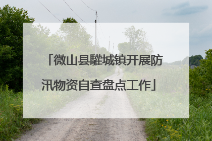 微山县驩城镇开展防汛物资自查盘点工作