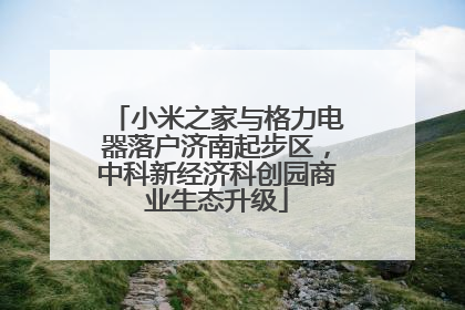 小米之家与格力电器落户济南起步区，中科新经济科创园商业生态升级
