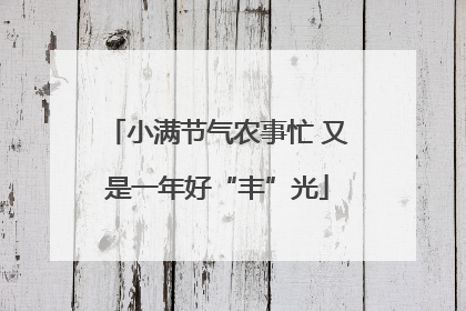 小满节气农事忙 又是一年好“丰”光