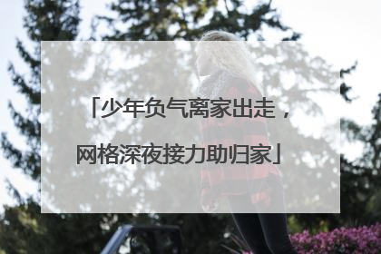 少年负气离家出走，网格深夜接力助归家