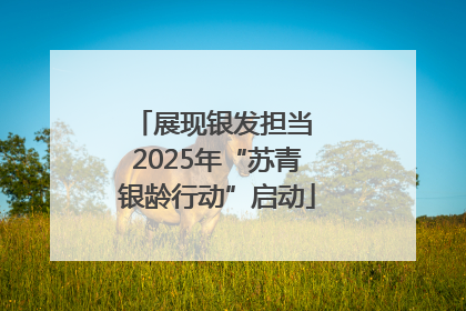 展现银发担当 2025年“苏青银龄行动”启动