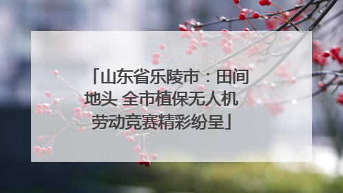 山东省乐陵市：田间地头 全市植保无人机劳动竞赛精彩纷呈