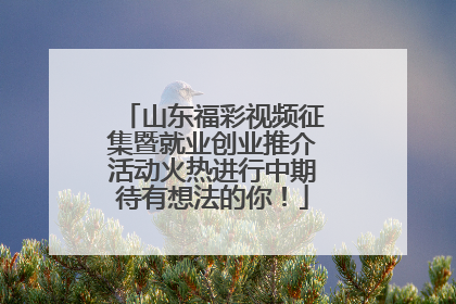 山东福彩视频征集暨就业创业推介活动火热进行中期待有想法的你！