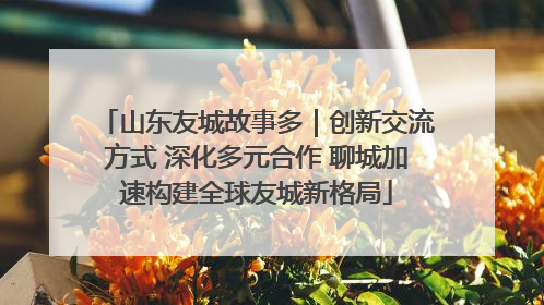 山东友城故事多｜创新交流方式 深化多元合作 聊城加速构建全球友城新格局
