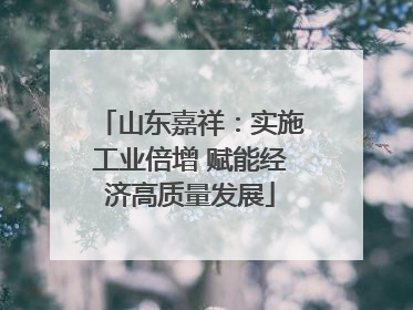 山东嘉祥：实施工业倍增 赋能经济高质量发展