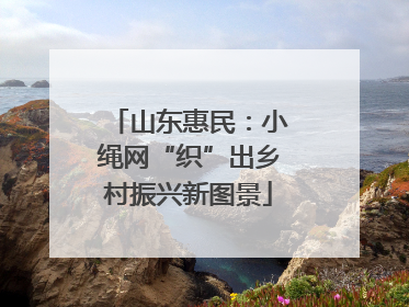 山东惠民：小绳网“织”出乡村振兴新图景