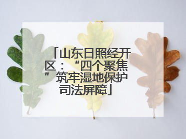 山东日照经开区：“四个聚焦”筑牢湿地保护司法屏障