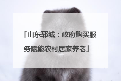 山东郓城：政府购买服务赋能农村居家养老