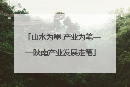 山水为墨 产业为笔——陕南产业发展走笔