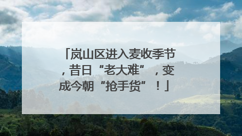 岚山区进入麦收季节，昔日“老大难”，变成今朝“抢手货”！