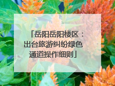岳阳岳阳楼区：出台旅游纠纷绿色通道操作细则