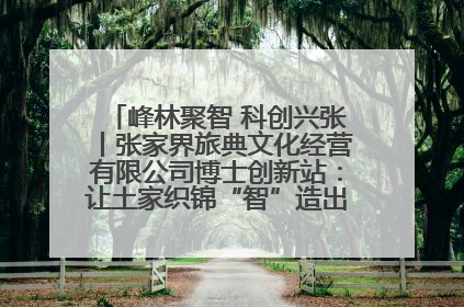 峰林聚智 科创兴张丨张家界旅典文化经营有限公司博士创新站：让土家织锦“智”造出非遗新传奇