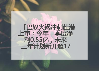 巴奴火锅冲刺赴港上市：今年一季度净利0.55亿，未来三年计划新开超170家门店