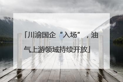 川渝国企“入场”，油气上游领域持续开放