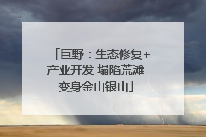 巨野：生态修复+产业开发 塌陷荒滩变身金山银山