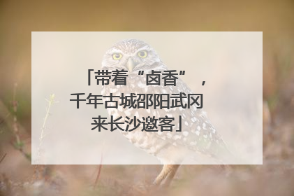 带着“卤香”，千年古城邵阳武冈来长沙邀客