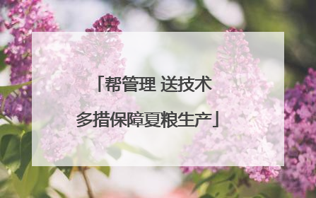 帮管理 送技术 多措保障夏粮生产