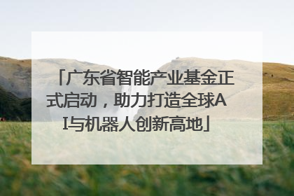 广东省智能产业基金正式启动，助力打造全球AI与机器人创新高地