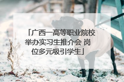 广西一高等职业院校举办实习生推介会 岗位多元吸引学生