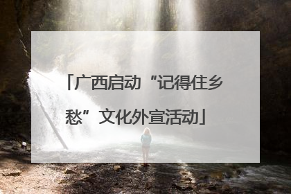 广西启动“记得住乡愁”文化外宣活动