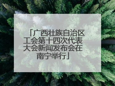 广西壮族自治区工会第十四次代表大会新闻发布会在南宁举行