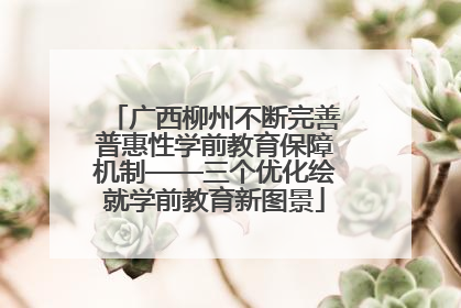 广西柳州不断完善普惠性学前教育保障机制——三个优化绘就学前教育新图景