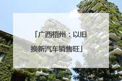 广西梧州：以旧换新汽车销售旺