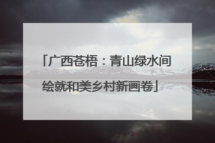 广西苍梧：青山绿水间绘就和美乡村新画卷