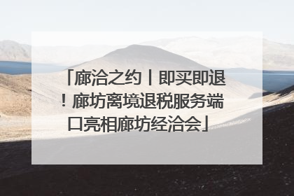 廊洽之约丨即买即退！廊坊离境退税服务端口亮相廊坊经洽会