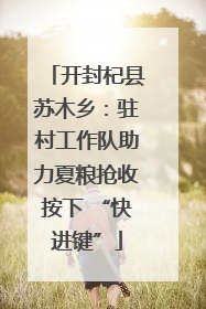 开封杞县苏木乡：驻村工作队助力夏粮抢收按下 “快进键”