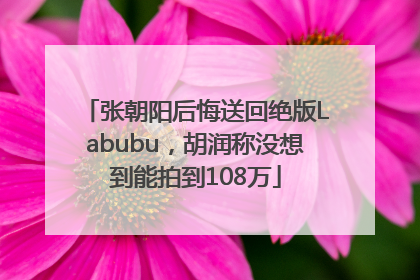 张朝阳后悔送回绝版Labubu，胡润称没想到能拍到108万