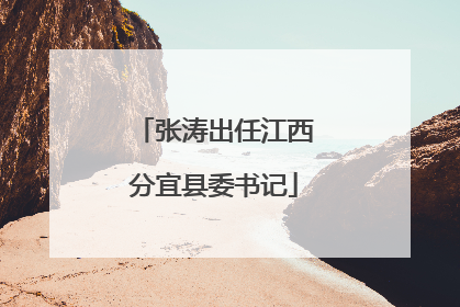 张涛出任江西分宜县委书记
