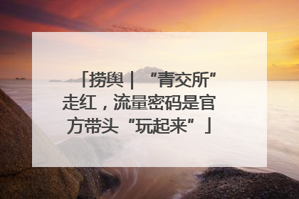 捞舆｜“青交所”走红，流量密码是官方带头“玩起来”