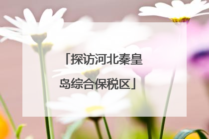 探访河北秦皇岛综合保税区
