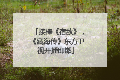 接棒《宿敌》，《藏海传》东方卫视开播即燃