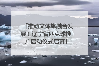 推动文体旅融合发展！辽宁省匹克球推广启动仪式启幕