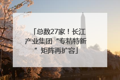 总数27家！长江产业集团“专精特新”矩阵再扩容