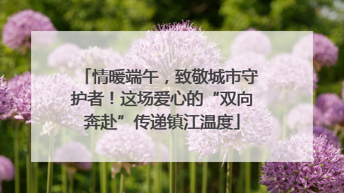 情暖端午，致敬城市守护者！这场爱心的“双向奔赴”传递镇江温度