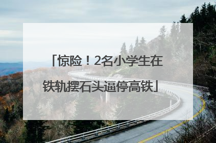 惊险！2名小学生在铁轨摆石头逼停高铁