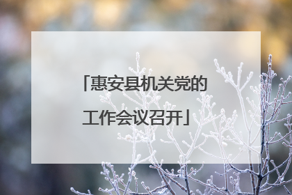惠安县机关党的工作会议召开