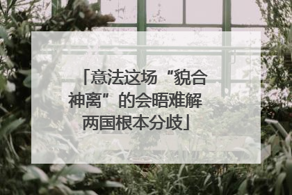 意法这场“貌合神离”的会晤难解两国根本分歧