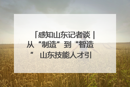感知山东记者谈｜从“制造”到“智造” 山东技能人才引领产业升级